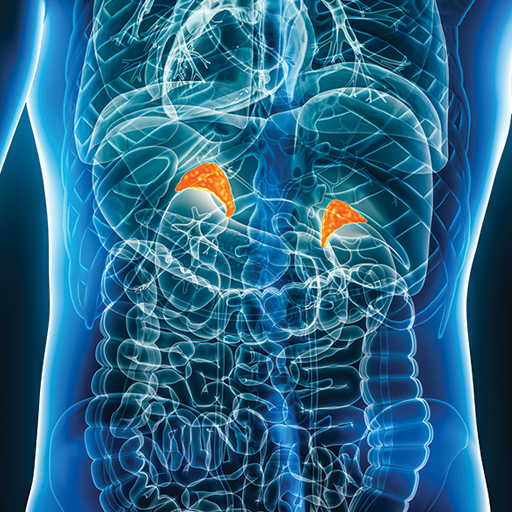 Oakstone CME Intensive Review of Endocrinology and Metabolism