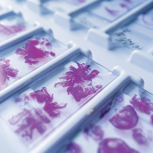 Oakstone CME Need-to-Know Pathology: A Review for Physicians in a Hurry