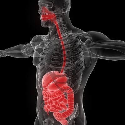 Gastroenterology and Hepatology Board Review