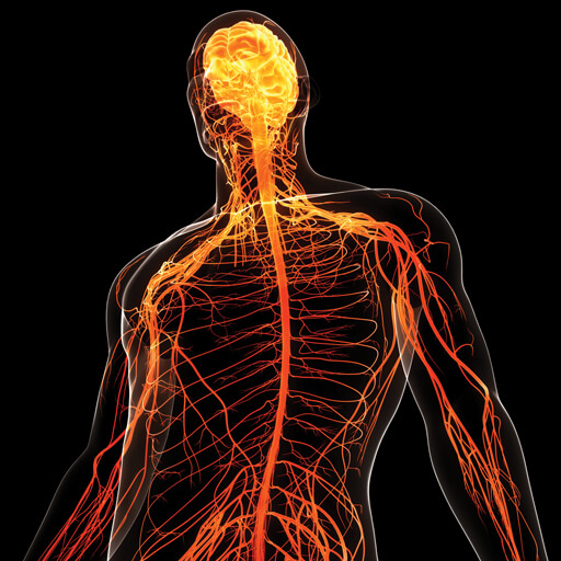 Oakstone CME Comprehensive Review of Neurology