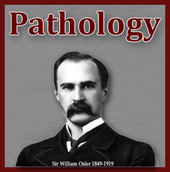 Osler Pathology Board Reviews