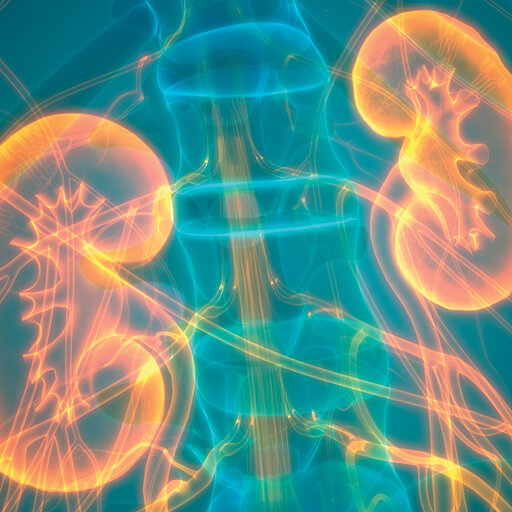 Nephrology CME [2024] CMEList