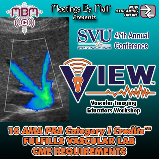 SVU-47th-Annual-Conference-Vascular-Imaging-Educators-Workshop-VIEW (1)