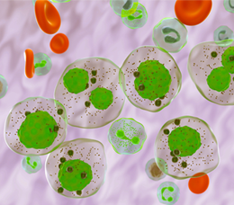 BCMA-Directed Bispecific Antibodies in Multiple Myeloma: Mechanisms of Action, Clinical Efficacy, and Emerging Therapeutics