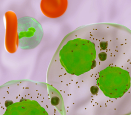 Boston University & Med-IQ: The Prevention, Monitoring, and Management of Adverse Events Associated With BCMA-Directed Bispecific Antibodies in Multiple Myeloma