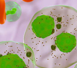 Boston University & Med-IQ: Quality of Life and Patient Experience With BCMA-Directed Therapies in Multiple Myeloma