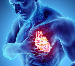 Duke Health & Med-IQ: Updates and Key Points on Optimal Medical Therapy for Your Patients With Heart Failure