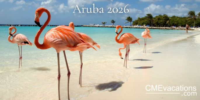 Aruba - CME Vacations