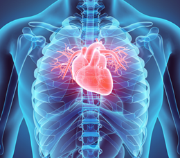 Med-IQ CME: ATTR-CM at ACC.26: New Evidence, Evolving Strategies