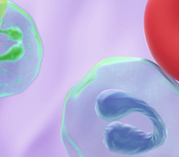 Boston University & Med-IQ: Barriers to Accessing BCMA-Directed Therapies in Multiple Myeloma