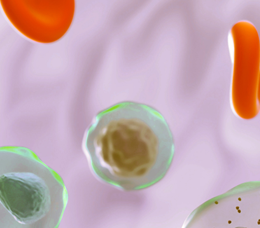 Boston University & Med-IQ: Integrating BCMA-Directed Bispecific Antibodies Into the Treatment Algorithm for Multiple Myeloma