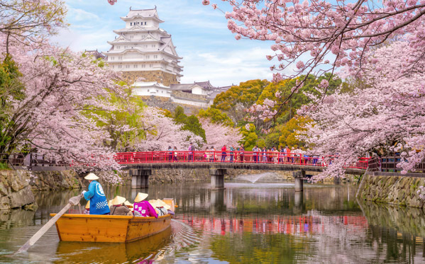Japan Cherry Blossoms on Silversea, Medical/Dental Advances in Japan, Roundtrip Tokyo on Silver Moon